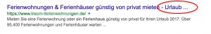 zu langer Seitentitel beim Google Snippet in den SERPs