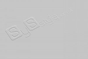 Logo sys - Styleyourself